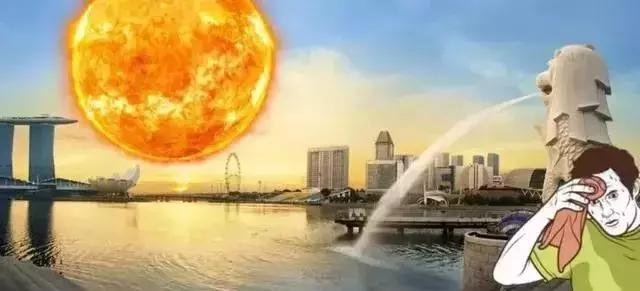 从新加坡回中国必带的零食有哪些,从新加坡买什么东西可以带回中国