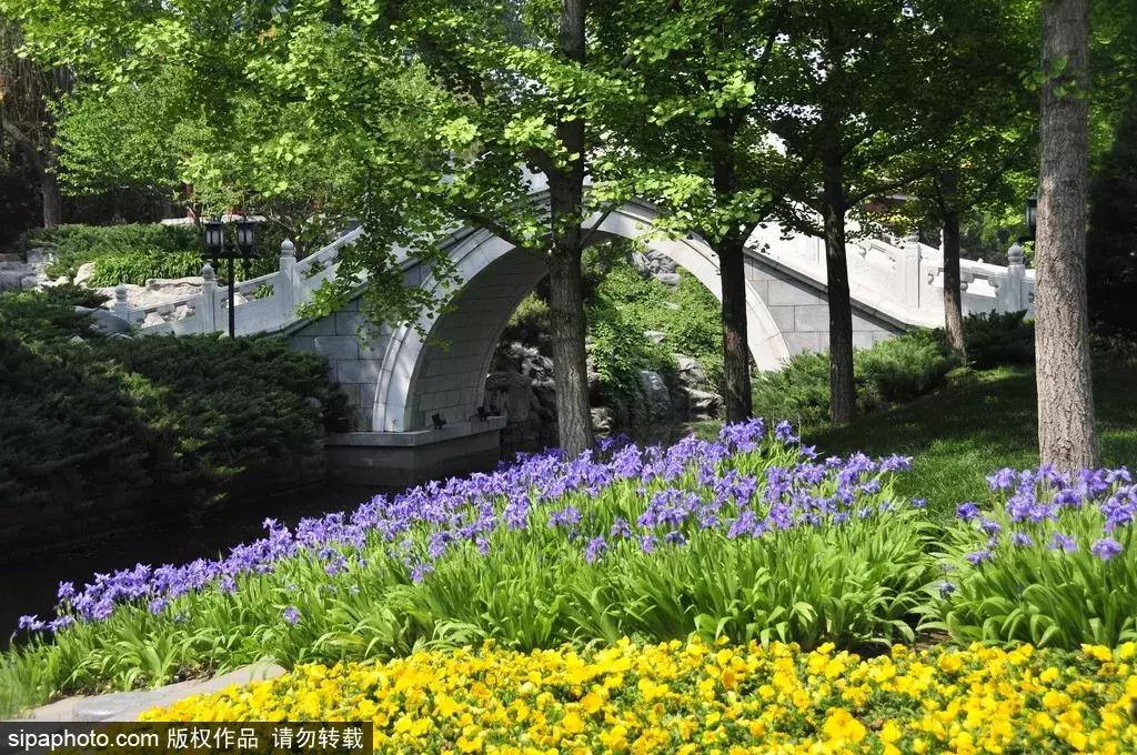 北京周末免费游玩好去处,北京适合周末闲逛的景点