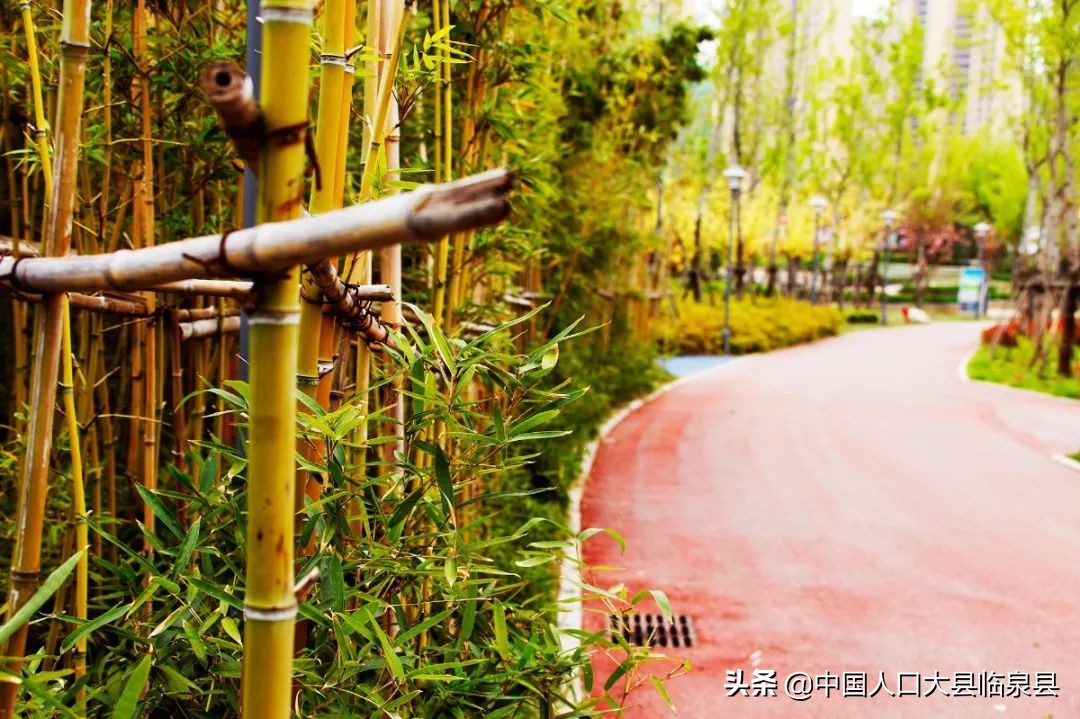 临泉县未来的样子！期待越来越好