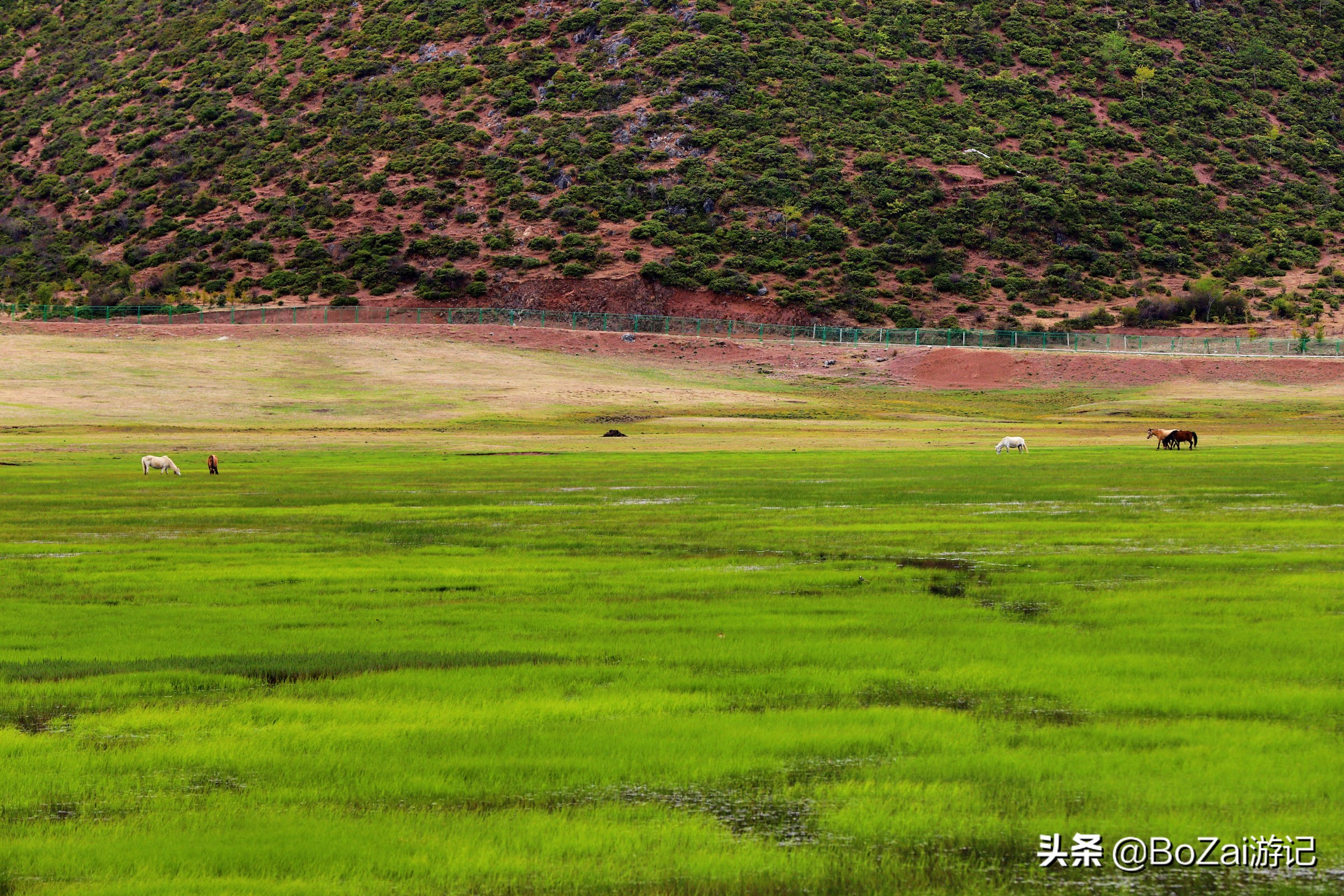 云南迪庆有哪些旅游景点,迪庆最值得去的景点有哪些地方