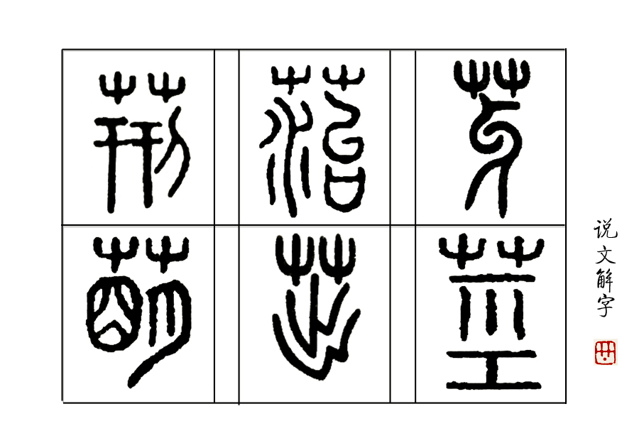 汉字说：“萌”和“芽”的区别是什么？