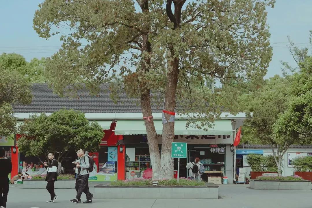 江苏省高校(六十六)苏州大学应用技术学院