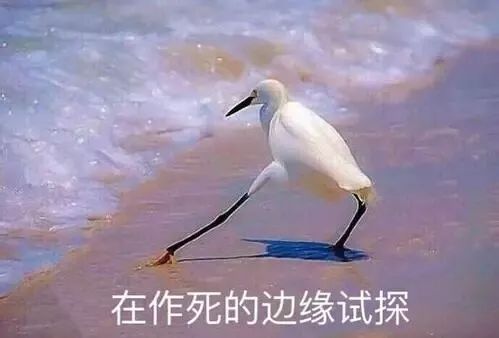 瀛﹂湼鎶よ偆vs瀛︽福鎶よ偆,浣犳槸瀛︾杩樻槸瀛﹂湼