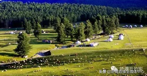 *疆新**人这么牛逼，你不知道吧