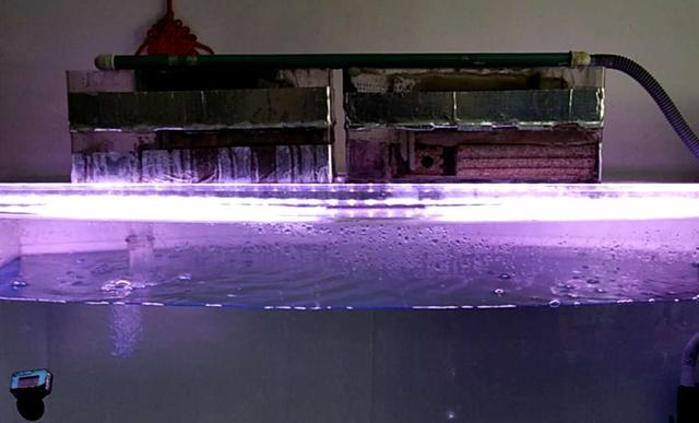 鱼缸生化棉可以不放吗,鱼缸用生化棉好还是滤材好