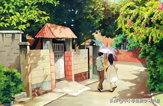 关于夏天的作文500字左右六年级,描写夏天的好词好句好段初中生