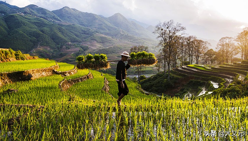中国最顶级渠道商，却被人质疑为什么还活着，供销巨头的超级实力