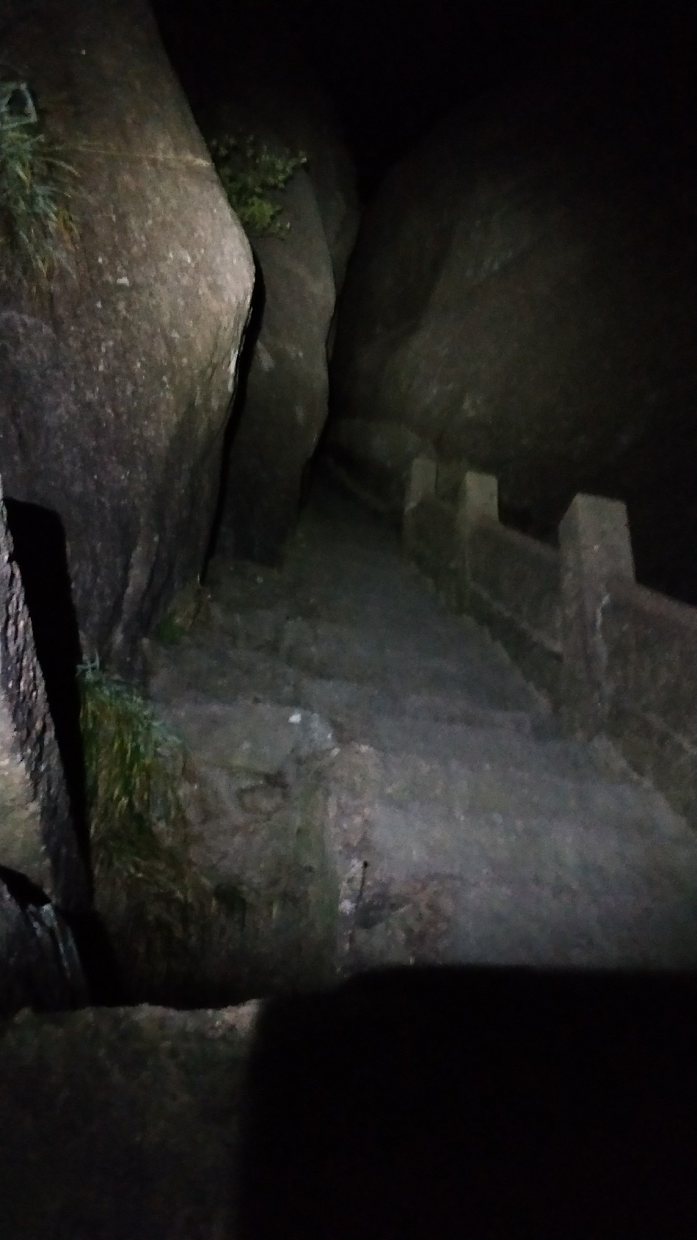 灏戝勾鏃剁殑姊︽兂榛勫北,瀛︾敓鏃朵唬姊︽兂