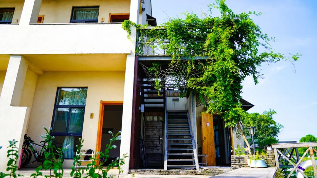 过年相城游玩攻略,相城区冬日游玩攻略