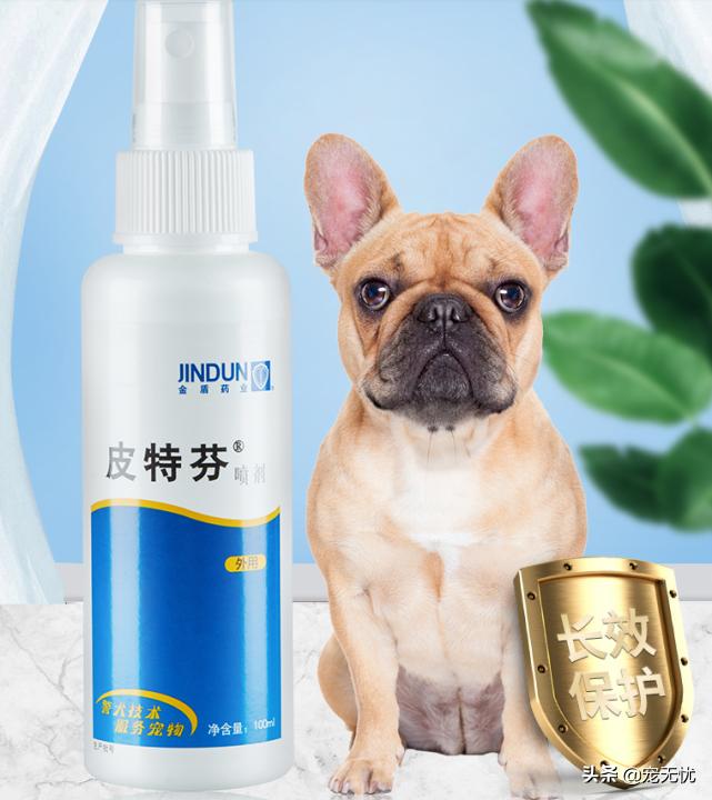 猫咪感染癣,猫咪感染猫癣怎么办