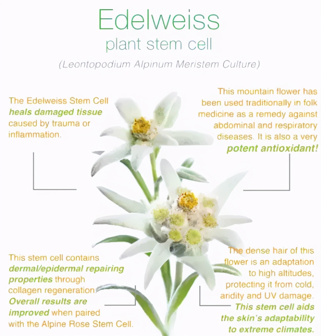 手工皂制作工艺师,手工皂师傅