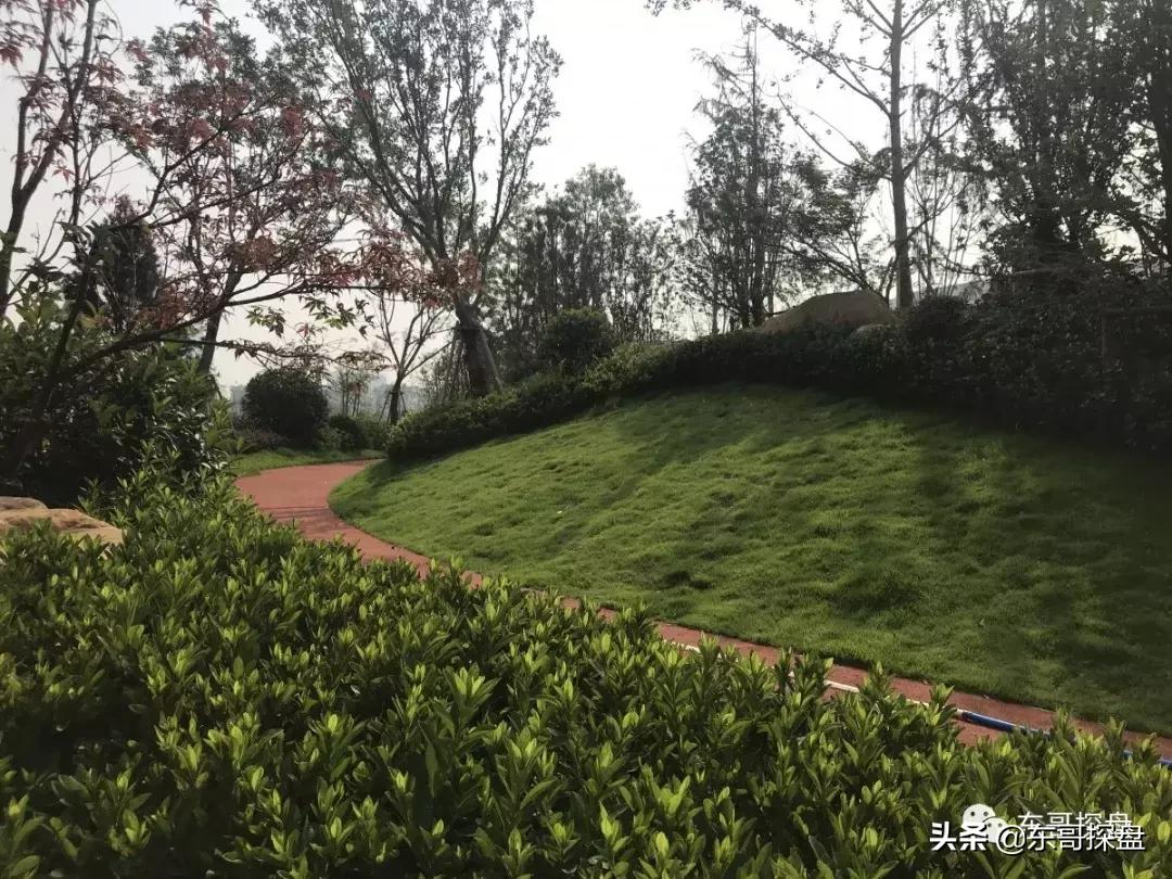 南龙湖到底有多强,为什么很多人选择南龙湖