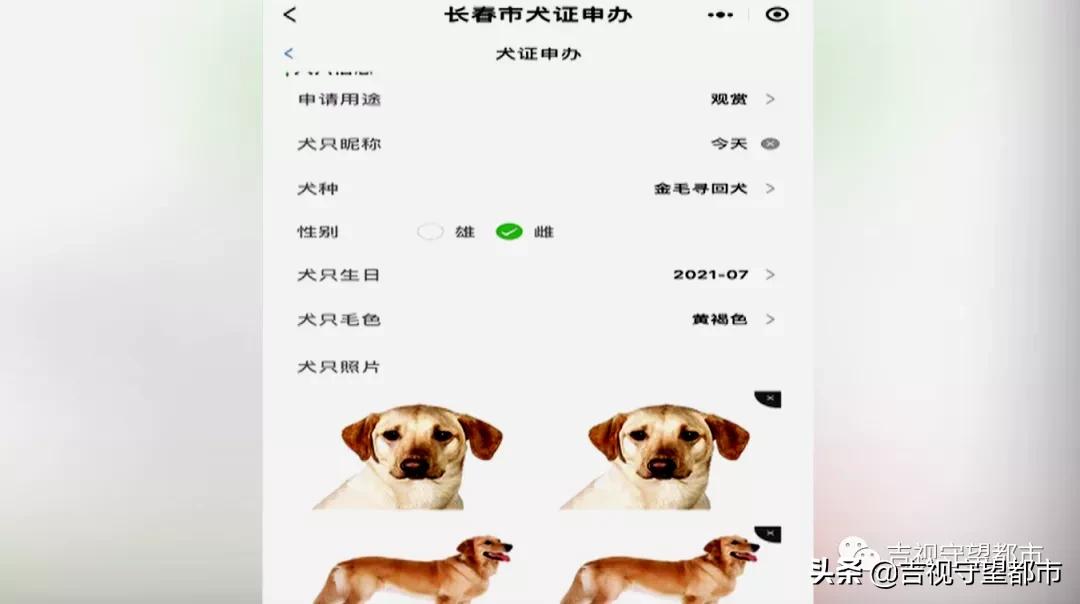 长春养犬管理条例是什么,长春市养犬证办理流程