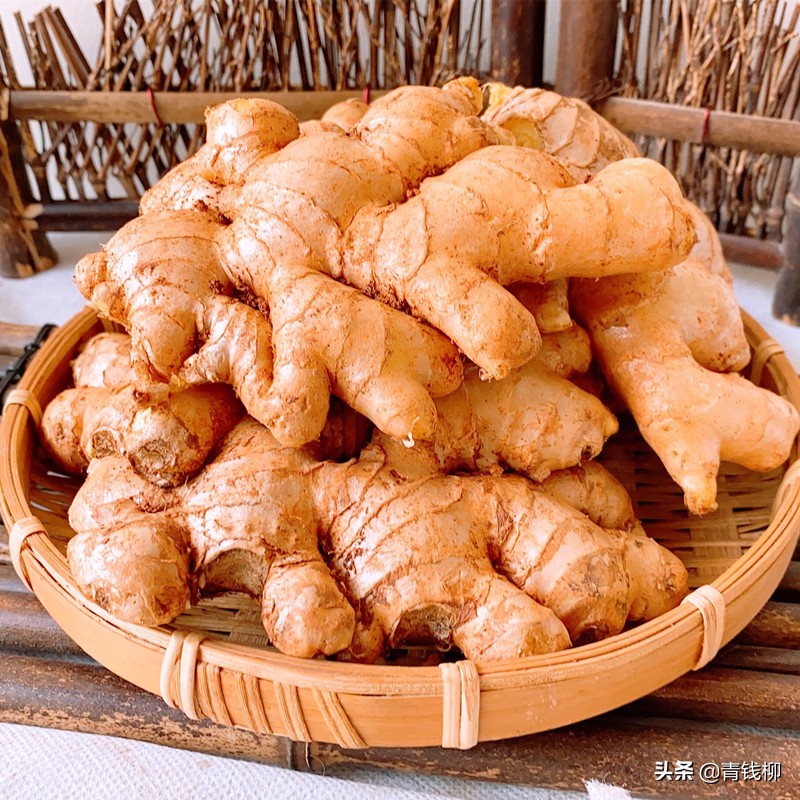 山东二号小黄姜的种植技术,广西山地小黄姜种植