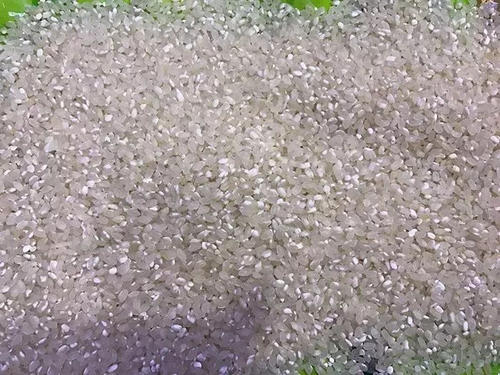 怎样挑选大米看标签,怎样挑选大米健康食品