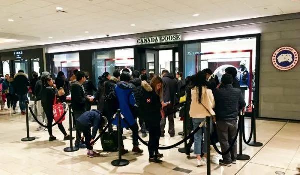 加拿大鹅在北京被疯抢,1000块钱的加拿大鹅