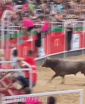 被牛角顶了是什么感觉,被牛角顶了是什么样