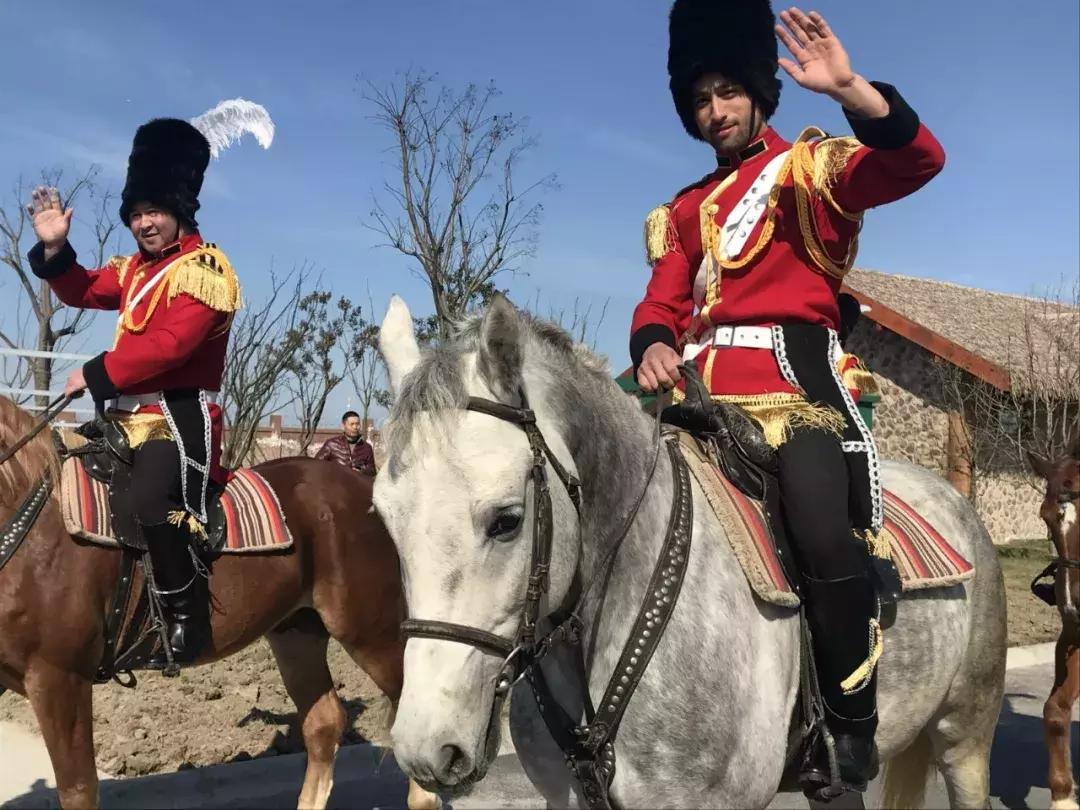 南通森林野生动物世界好玩吗,南通森林野生动物园门票团购