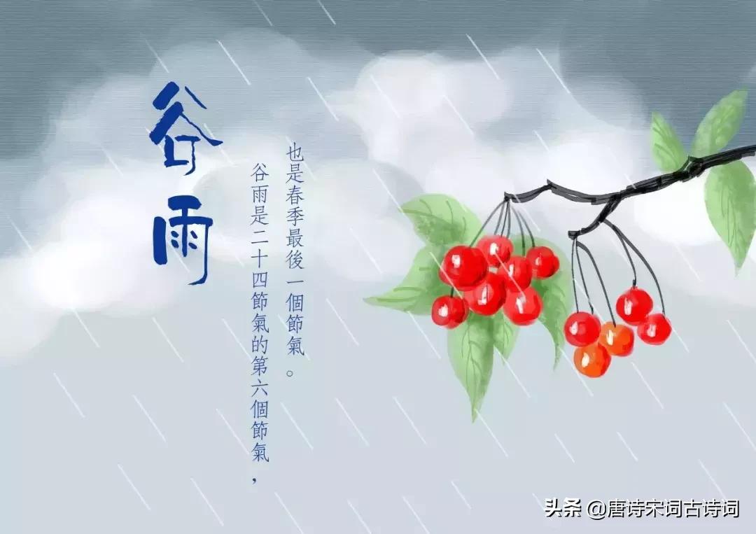 谷雨诗词大全100首,最经典谷雨诗词