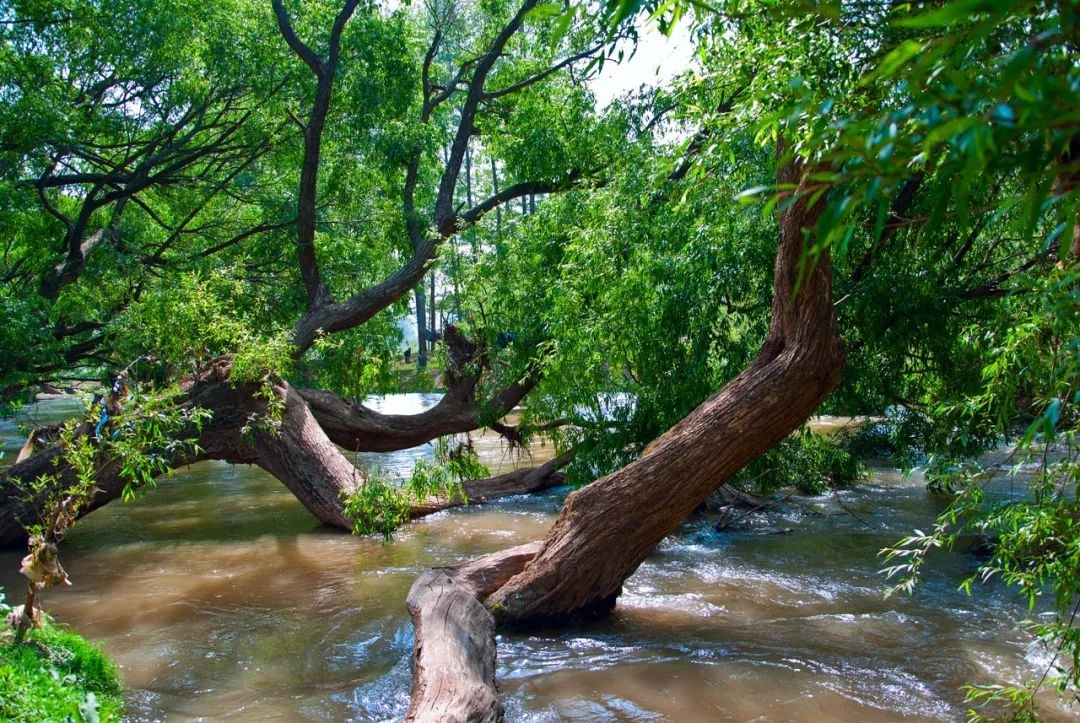 散文篇目推荐,散文题材推荐