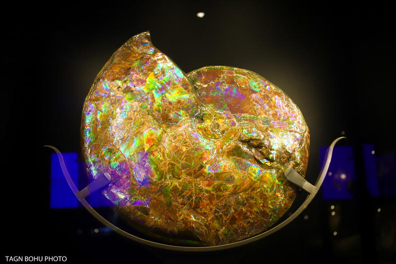 衢州常山春日旅游攻略,常山小众景点