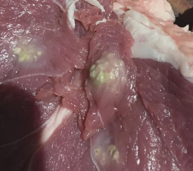 如何买澳洲牛羊肉,澳洲牛羊肉怎么挑选