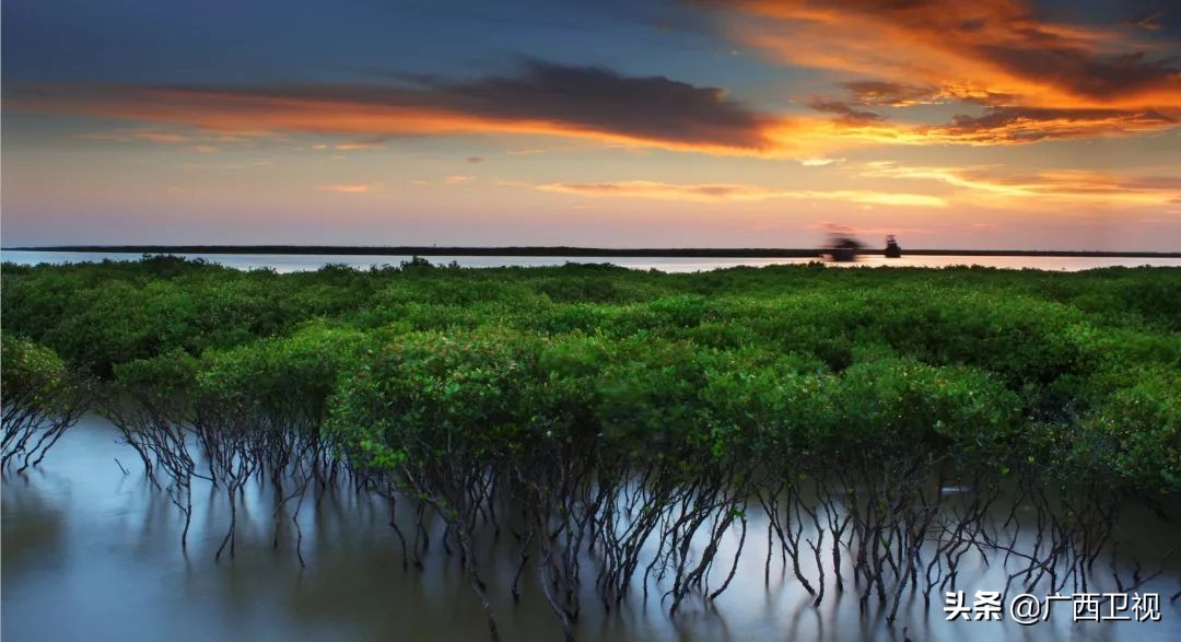 环广西北海赛段全程回放,环广西北海2017开幕式