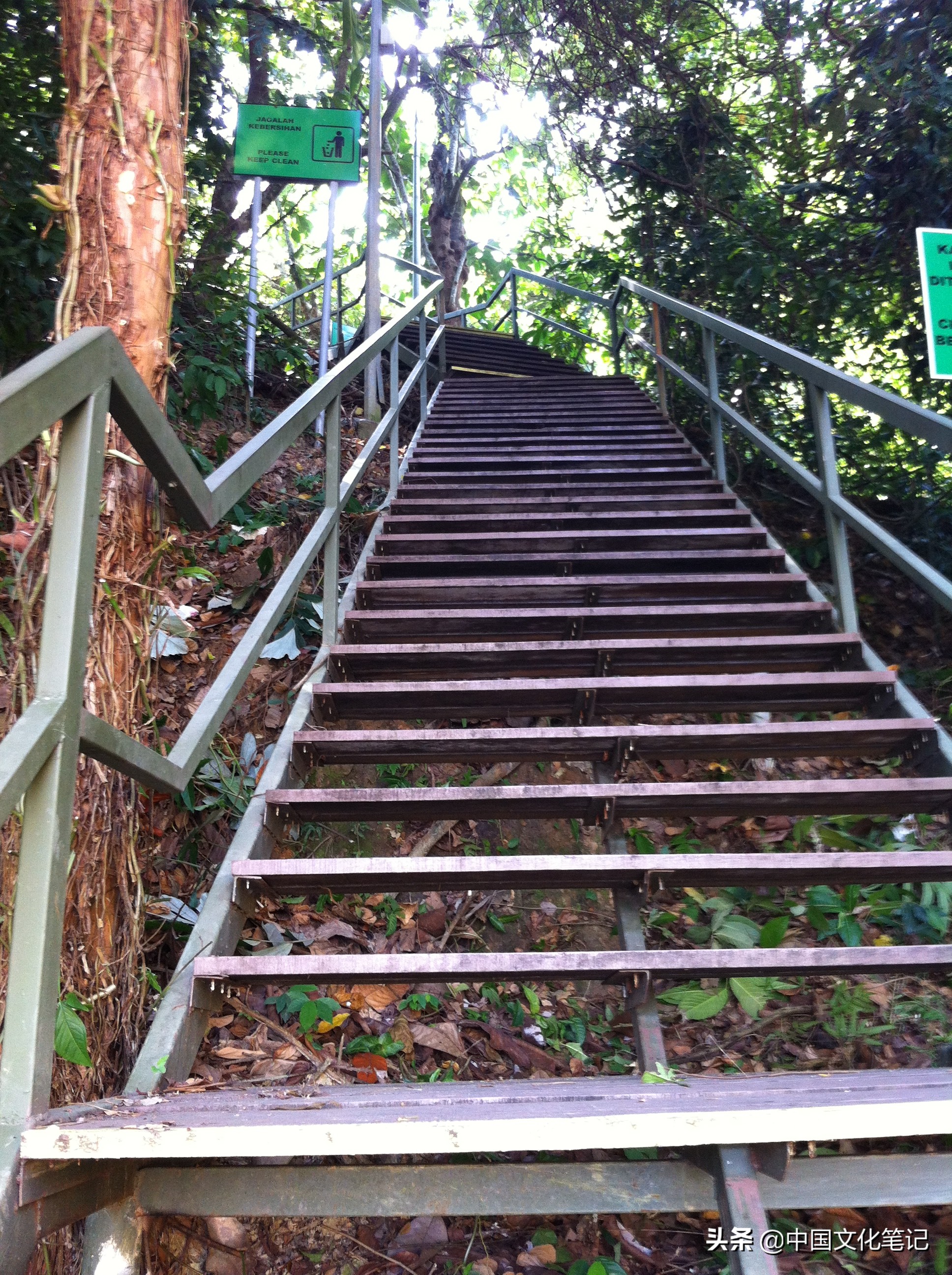 去沙巴大学和水上清真寺,沙巴水上清真寺自由行热门攻略