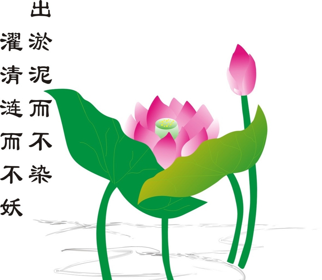 金陵双臭煲臭豆腐,金陵双臭煲评价