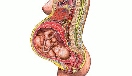 孕期腰酸痛怎么缓解,孕期腰酸痛是什么原因