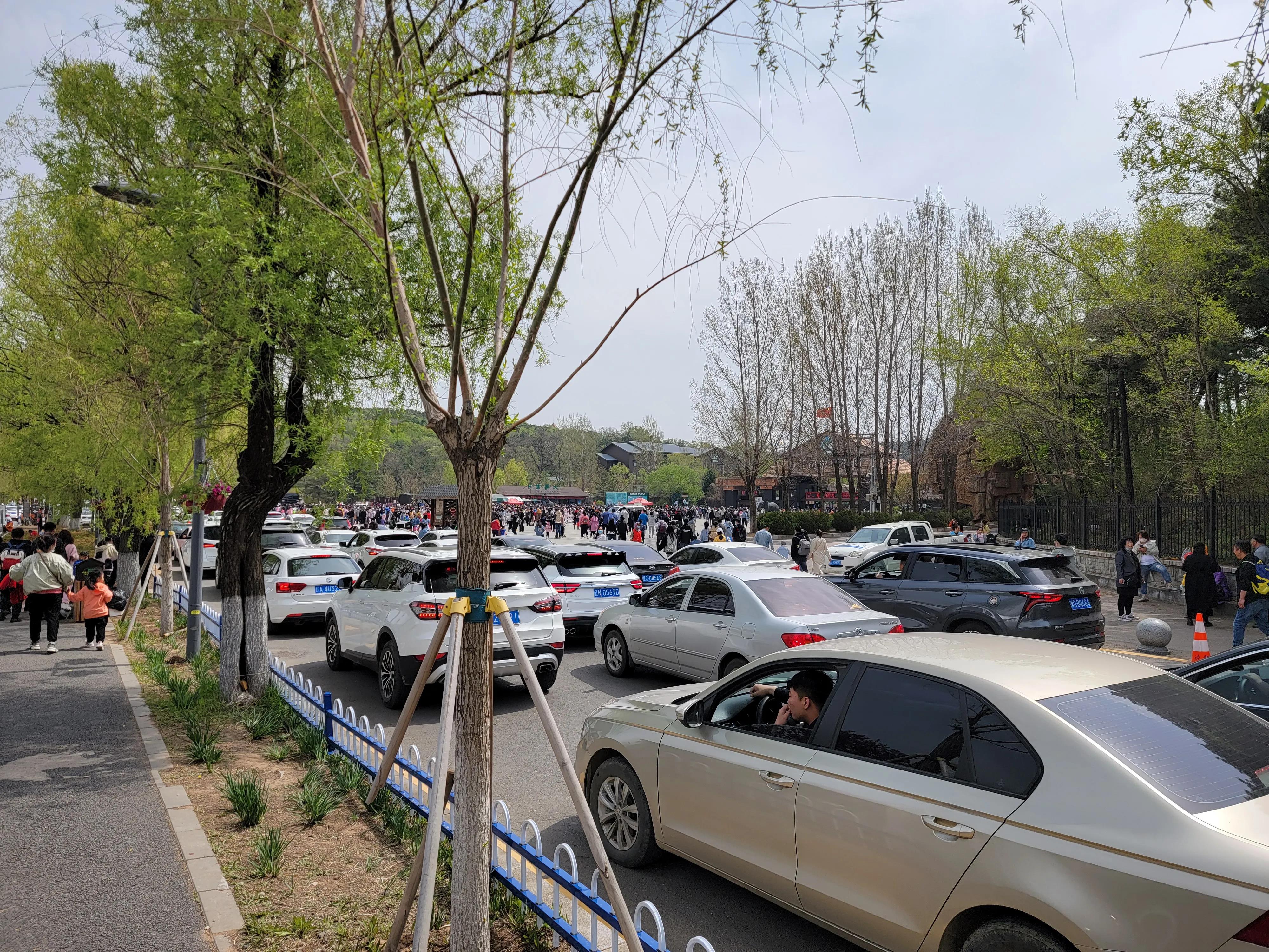 快乐动物园探险,愉快的旅行沈阳森林动物园一日游