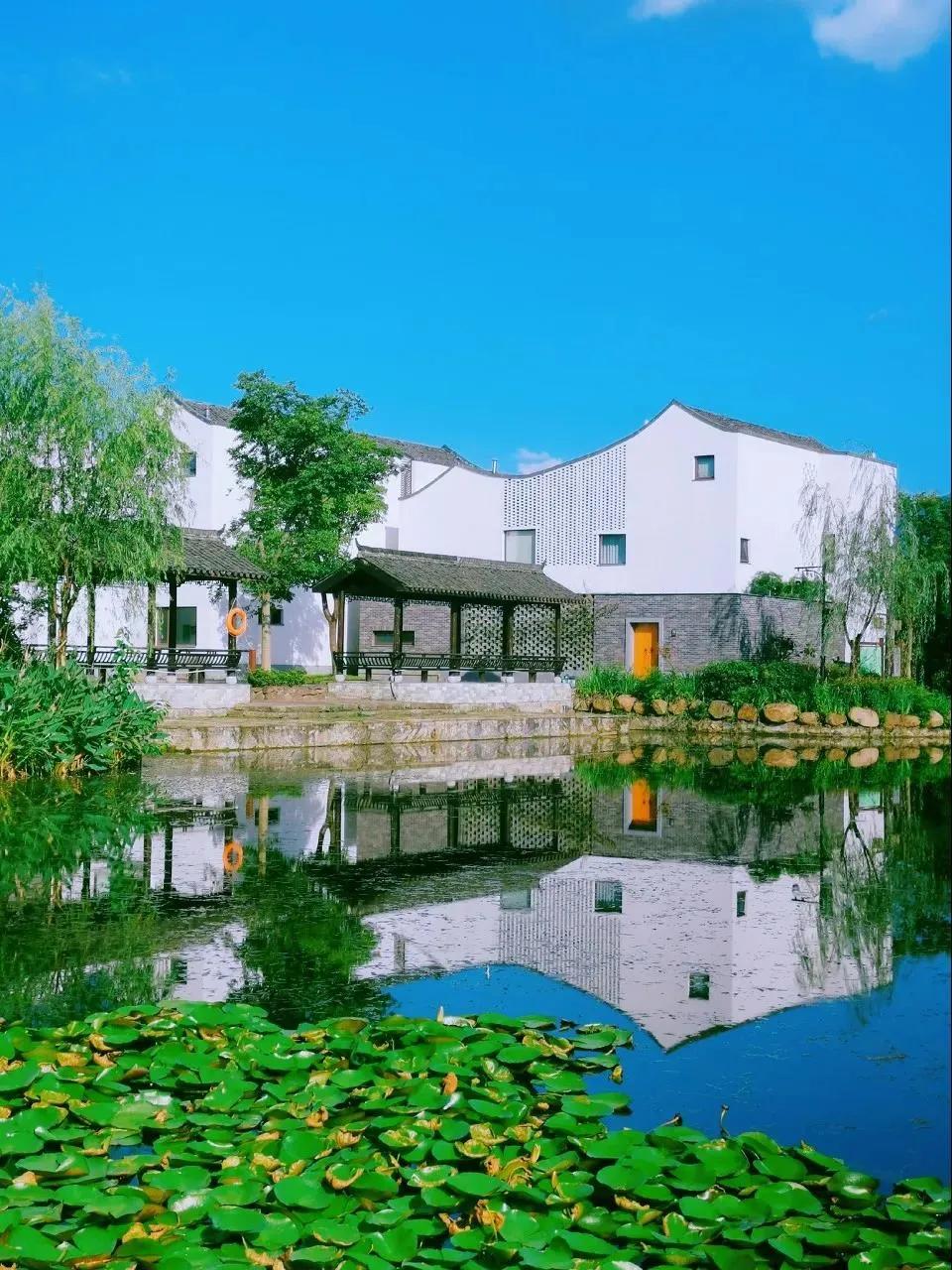 杭州当地的新农村,杭州农村现状视频