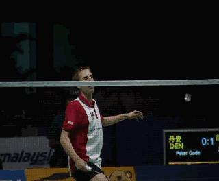 羽毛球基础知识入门,一起学习羽毛球入门超强干货教程