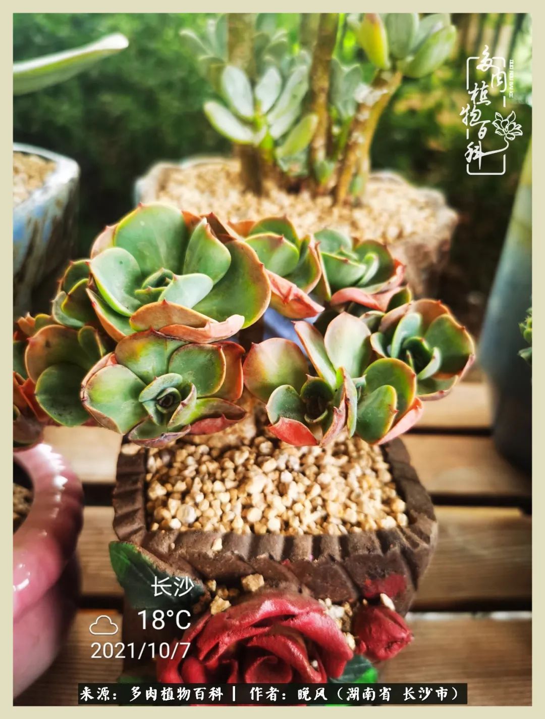 摇身一变成了奶爸,摇身一变成为打工人