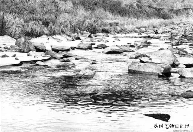 不会画就别学,不会画素描写生