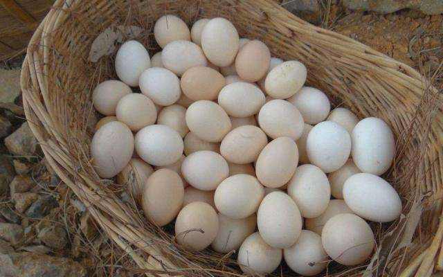 怎样让鸡蛋不破方便携带出门,鸡蛋怎么带出门不磕坏
