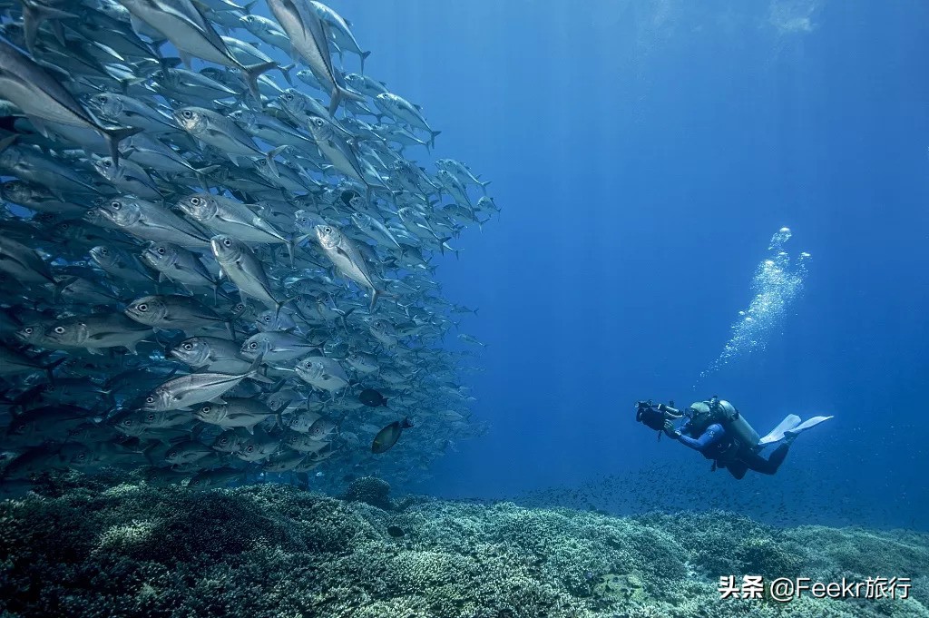 最不想分享的小众海岛,小众海岛旅行