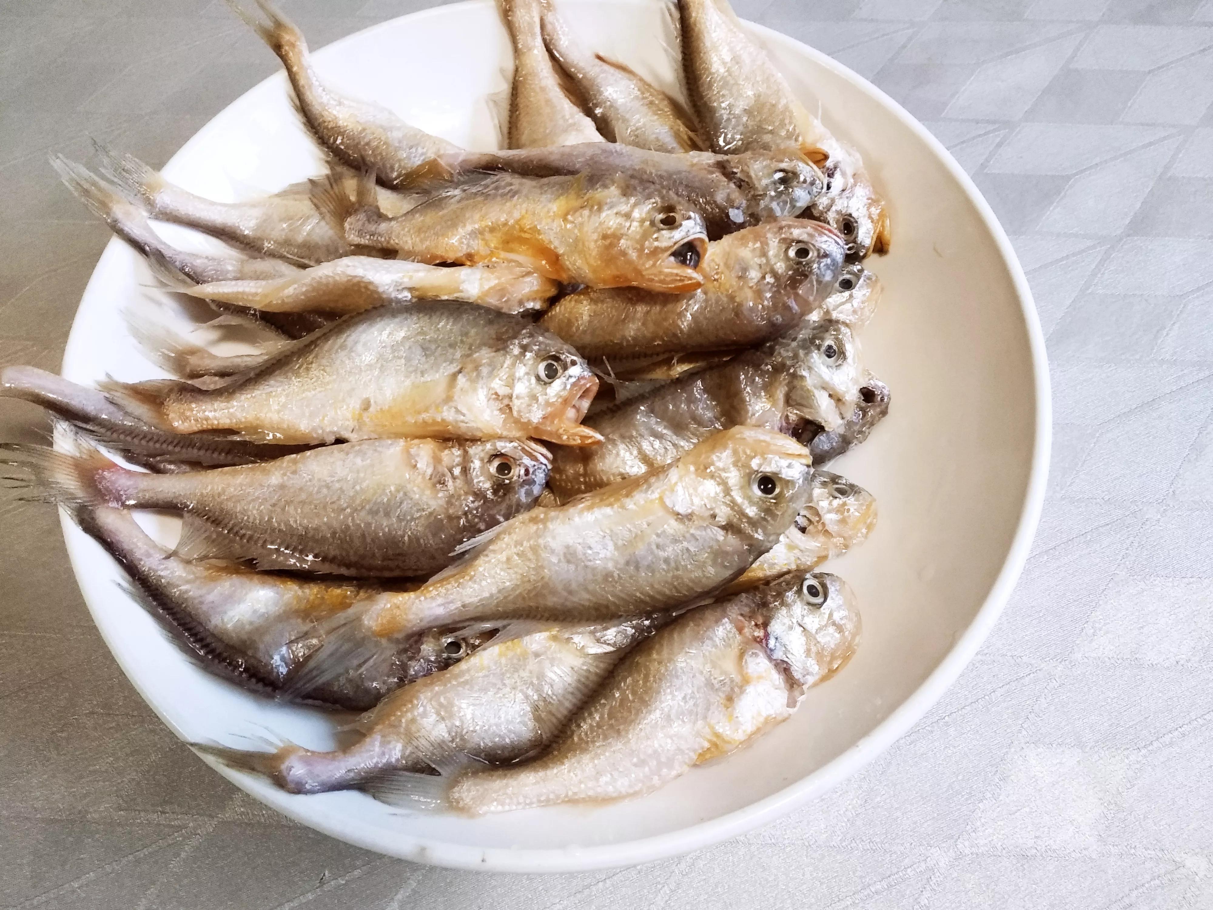 中国常见的十种海鱼类,冬天常见的海鱼