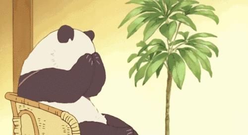 美食开锅的正确方法,怎么开锅好吃又实用