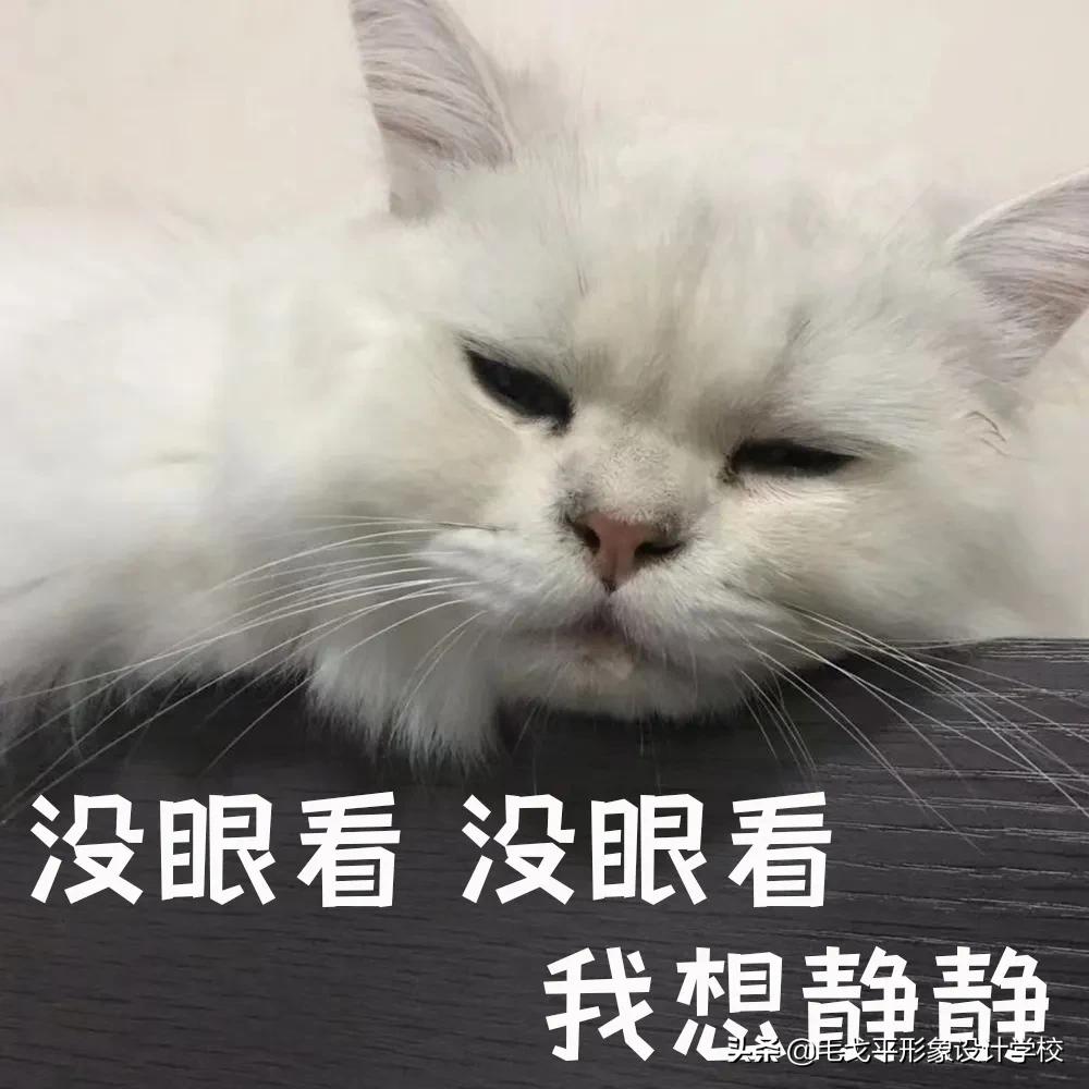 肿眼泡画眼妆要注意什么,肿眼泡的眼妆教程不贴假睫毛