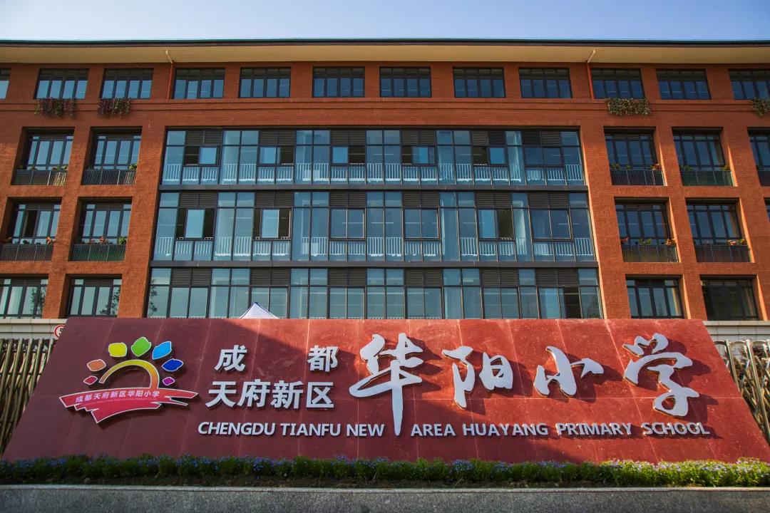 天府新区华阳小学：校园那么美，萌娃来打卡