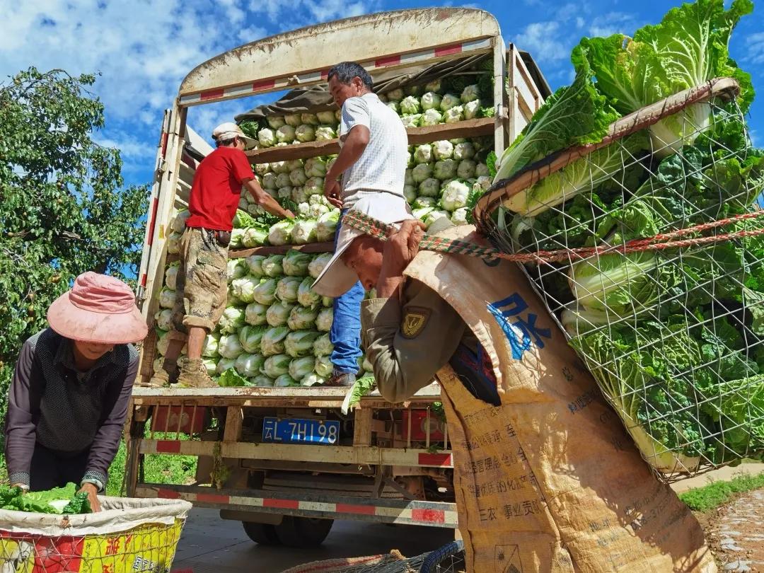 2023平遥国际摄影节获奖摄影作品,2009大理摄影展获奖作品