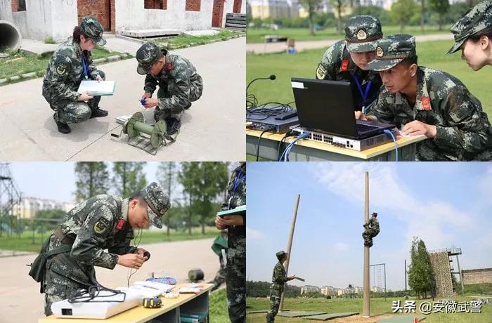 纪实视频,记实记录