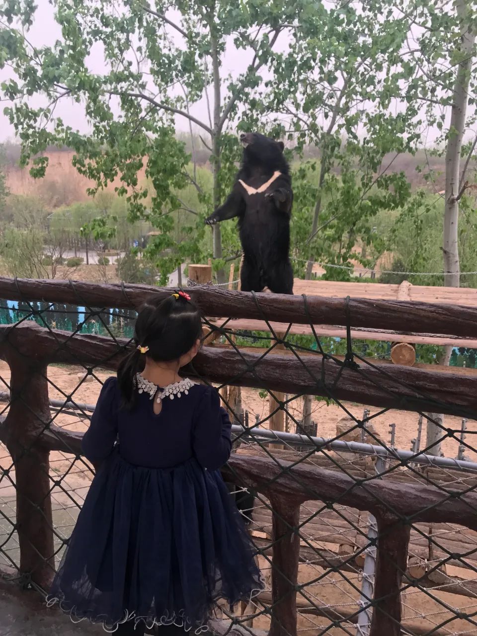 济南免费周末遛娃玩水好去处,济南亲子公园游玩地点推荐