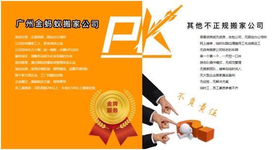 广州金蚂蚁,广州金蚂蚁公司