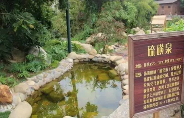 怡情谷温泉酒店399错峰出游,温泉度假酒店推荐广东含自助晚餐