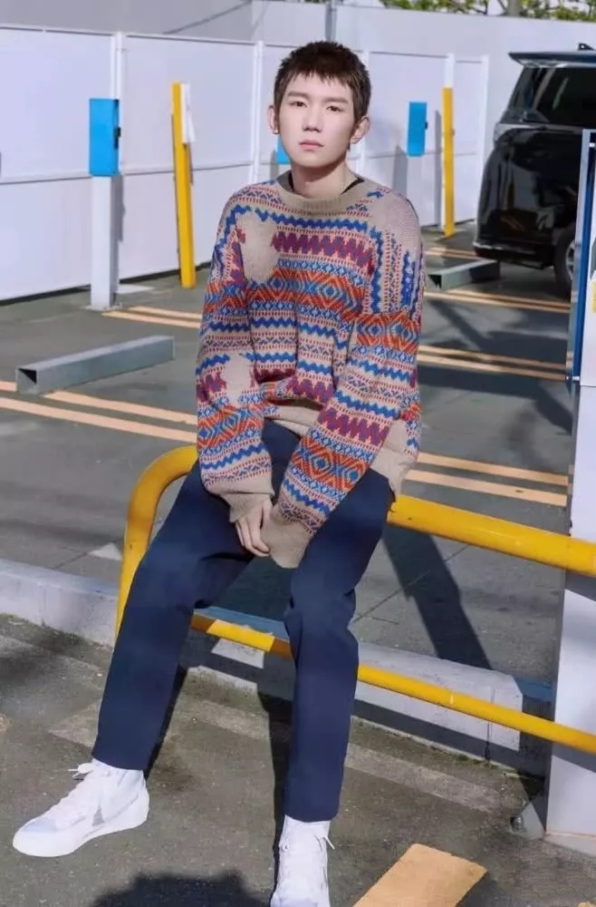 加厚费尔岛提花毛衣开衫女外穿,费尔岛浪漫提花套头毛衣秋冬新款