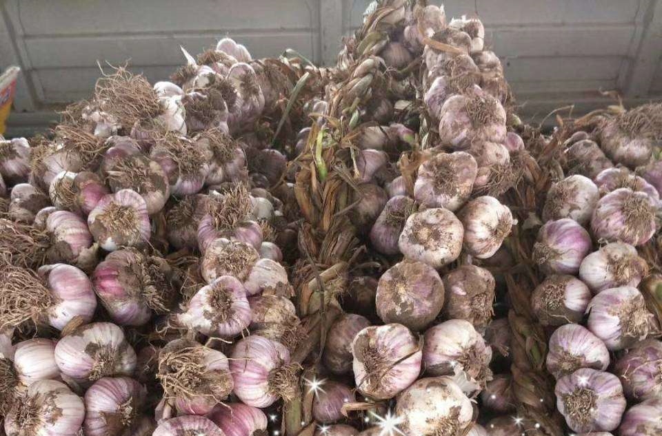 空气能烘干机烘干蔬菜,空气炸锅能不能烘干大蒜