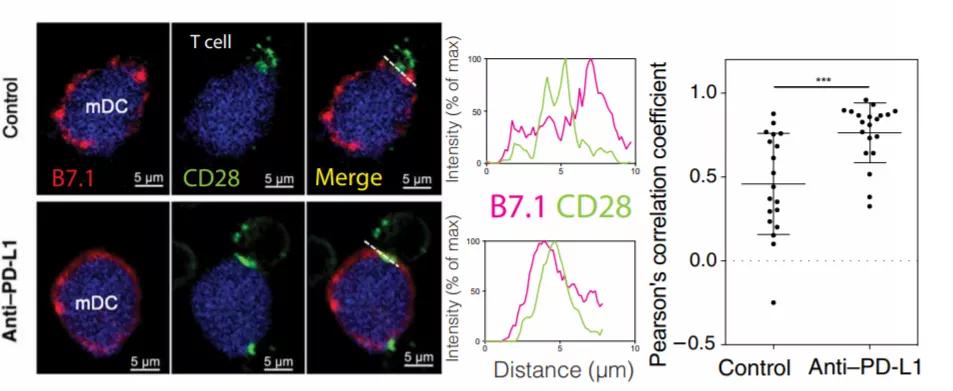 非小细胞肺癌抗血管生成药物治疗,抗血管生成素治疗肺癌