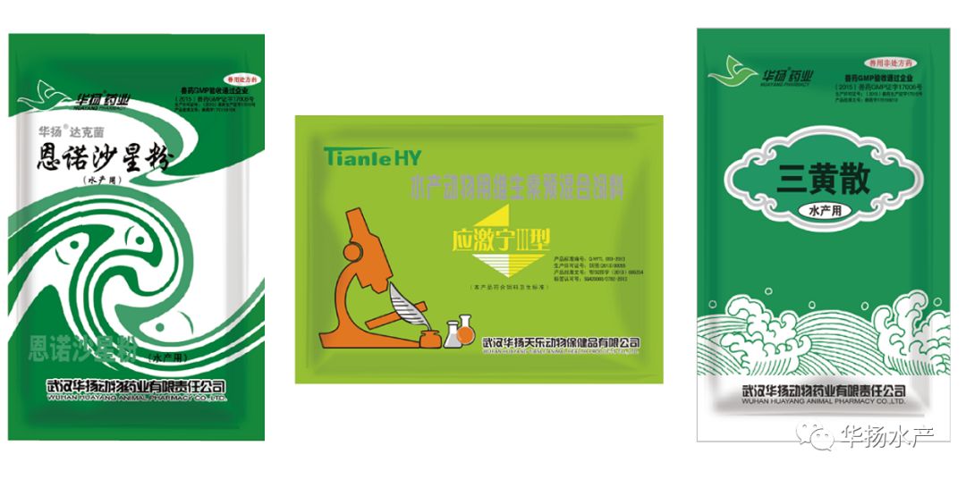 黄颡鱼掉粘液后大量死怎么治,黄颡鱼烂身病的原因